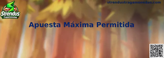 Información sobre Apuesta Máxima Permitida en tragamonedas