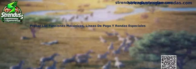 Guía visual para analizar funciones mecánicas, líneas de pago y rondas especiales en tragamonedas
