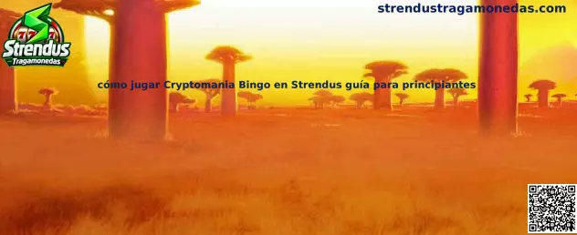 Guía visual para principiantes sobre cómo jugar Cryptomania Bingo en Strendus